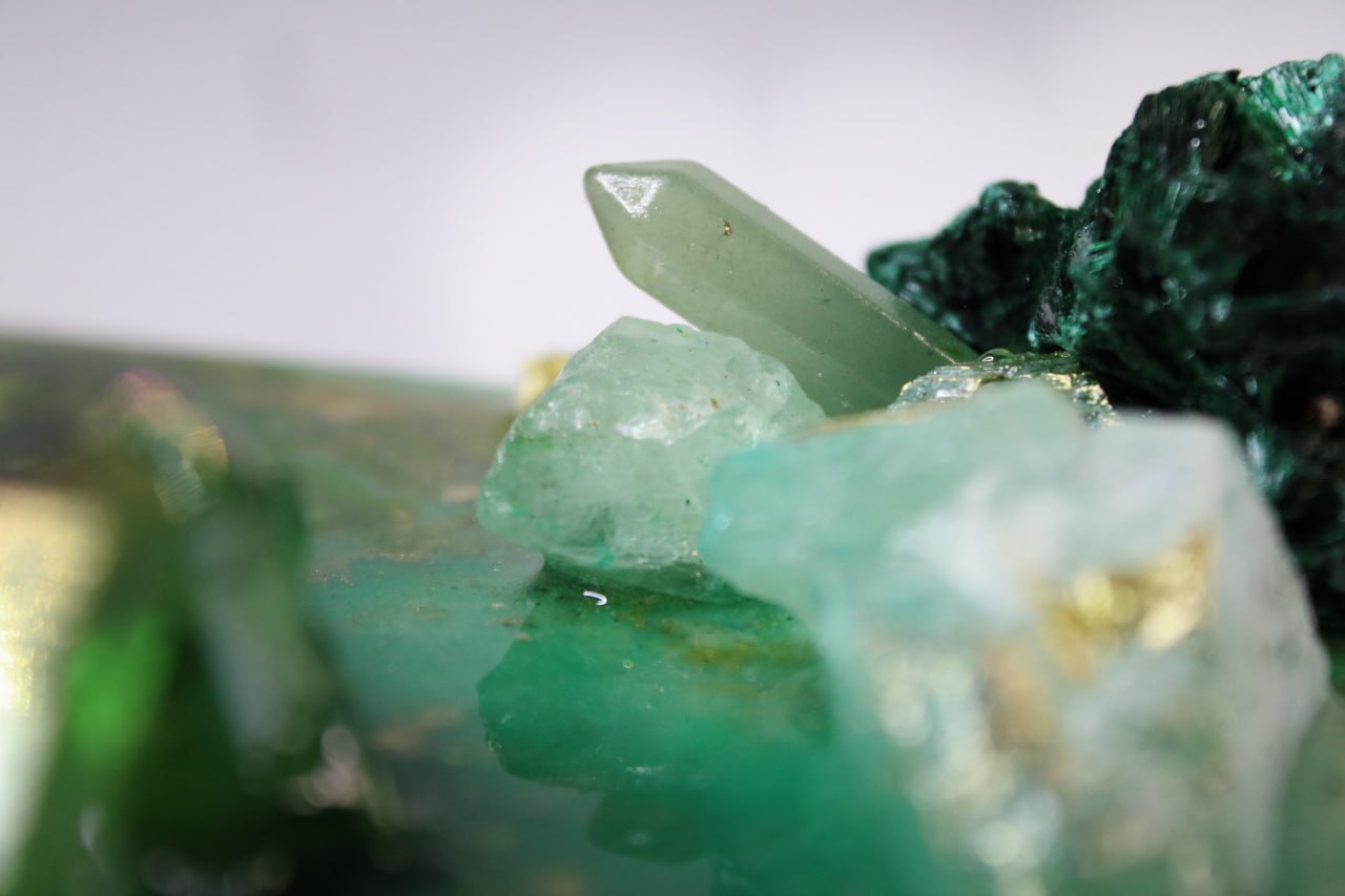 Dreiklang der Natur: Dimensionen des Seins